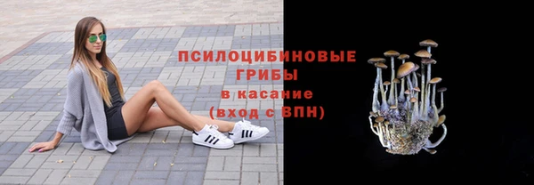 таблы Алексин