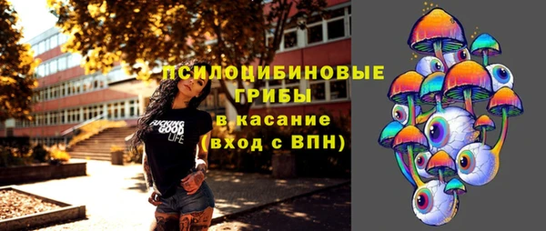 прущий лед Алзамай